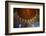 Interior of the dome of Sheikh Lotfollah Mosque, Isfahan, Iran, Middle East-James Strachan-Framed Photographic Print