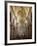 Interior of the Duomo, Erice, Sicily, Italy, Europe-Stuart Black-Framed Photographic Print