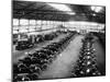 Interior of the Ford Works, Trafford Park, Manchester, C1911-C1927-null-Mounted Photographic Print