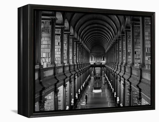 Interior of the Library, Trinity College, Dublin, Eire (Republic of Ireland)-Michael Short-Framed Premier Image Canvas