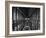 Interior of the Library, Trinity College, Dublin, Eire (Republic of Ireland)-Michael Short-Framed Photographic Print