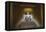 Interior of the Lincoln Memorial Lit Up at Night-Michael Nolan-Framed Premier Image Canvas