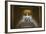 Interior of the Lincoln Memorial Lit Up at Night-Michael Nolan-Framed Photographic Print