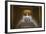 Interior of the Lincoln Memorial Lit Up at Night-Michael Nolan-Framed Photographic Print