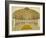 Interior of the Mausoleum of Itimad-Ud Daula, Agra, India-null-Framed Giclee Print