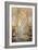 Interior of the Notre Dame Cathedral in Paris during the Coronation of Napoleon I-null-Framed Giclee Print