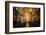 Interior of the Saint Francisco Church in the Pelourinho-Michael Runkel-Framed Photographic Print