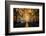 Interior of the Saint Francisco Church in the Pelourinho-Michael Runkel-Framed Photographic Print