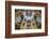 Interior of the St. Nicholas Church, Mala Strana, Prague, Czech Republic, Europe-Michael Runkel-Framed Photographic Print