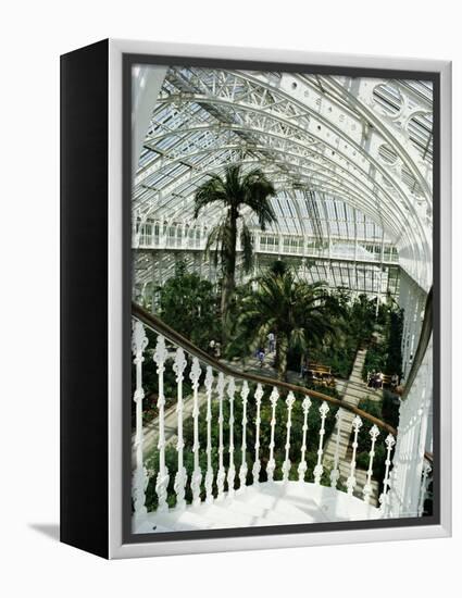 Interior of the Temperate House, Restored in 1982, Kew Gardens, Greater London-Richard Ashworth-Framed Premier Image Canvas