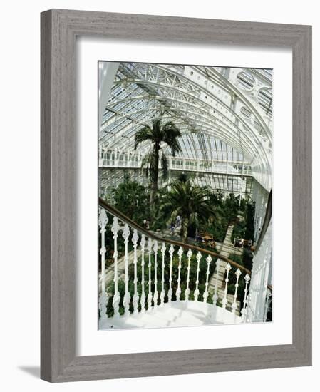 Interior of the Temperate House, Restored in 1982, Kew Gardens, Greater London-Richard Ashworth-Framed Photographic Print