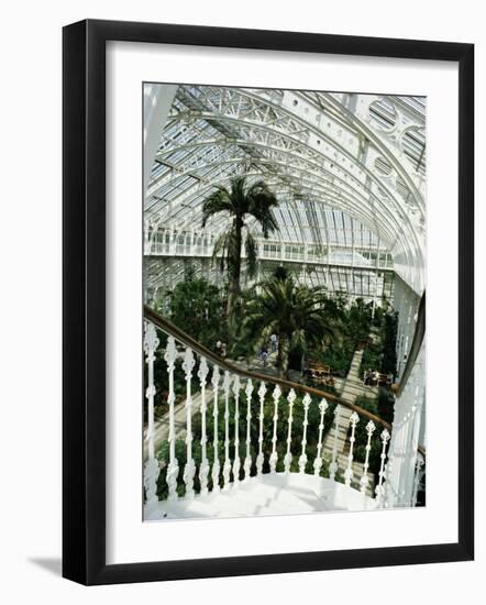 Interior of the Temperate House, Restored in 1982, Kew Gardens, Greater London-Richard Ashworth-Framed Photographic Print