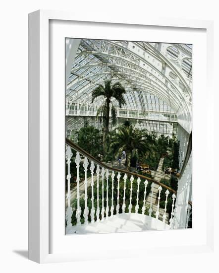 Interior of the Temperate House, Restored in 1982, Kew Gardens, Greater London-Richard Ashworth-Framed Photographic Print