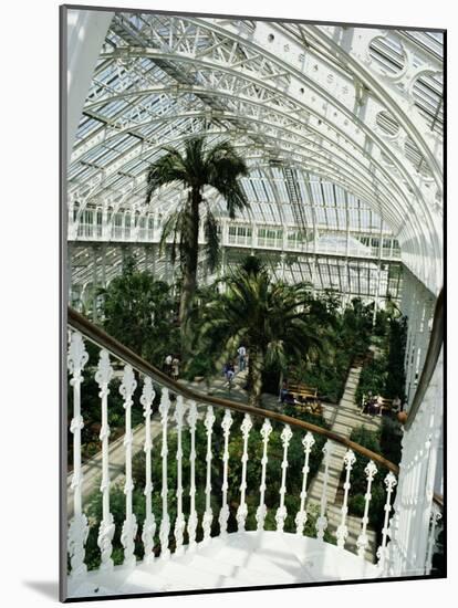 Interior of the Temperate House, Restored in 1982, Kew Gardens, Greater London-Richard Ashworth-Mounted Photographic Print