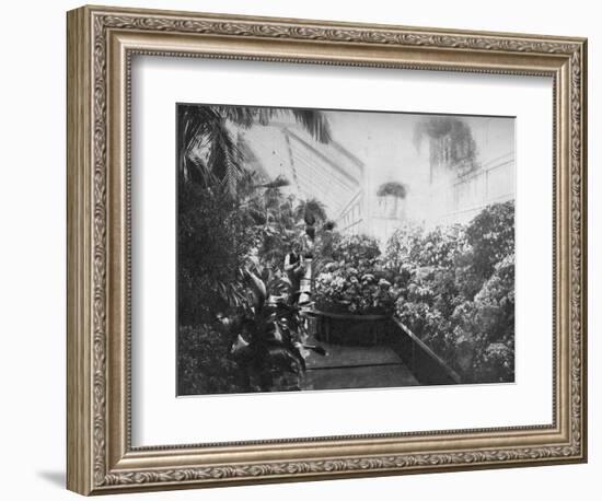 Interior of the White House Greenhouse, Washington Dc, USA, 1908-null-Framed Giclee Print