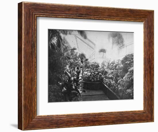 Interior of the White House Greenhouse, Washington Dc, USA, 1908--Framed Giclee Print