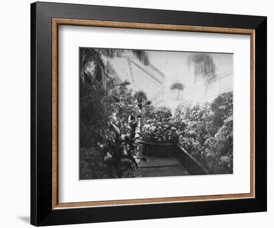 Interior of the White House Greenhouse, Washington Dc, USA, 1908-null-Framed Giclee Print