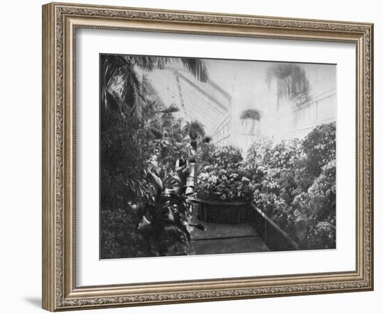 Interior of the White House Greenhouse, Washington Dc, USA, 1908-null-Framed Giclee Print