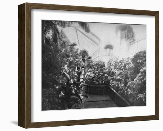 Interior of the White House Greenhouse, Washington Dc, USA, 1908-null-Framed Giclee Print