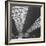 Interior of Union Station, Showing Detail of Glass and Iron Vaulted Ceiling-Walker Evans-Framed Photographic Print