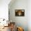 Interior of Wine Cellar (Caveau) of Chateau de Ventenac-En-Minervois, Languedoc-Roussillon, France-Nick Servian-Framed Premier Image Canvas displayed on a wall