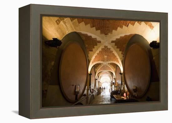 Interior of Wine Cellar (Caveau) of Chateau de Ventenac-En-Minervois, Languedoc-Roussillon, France-Nick Servian-Framed Premier Image Canvas