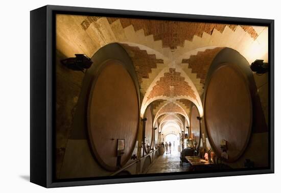 Interior of Wine Cellar (Caveau) of Chateau de Ventenac-En-Minervois, Languedoc-Roussillon, France-Nick Servian-Framed Premier Image Canvas