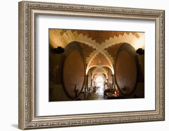 Interior of Wine Cellar (Caveau) of Chateau de Ventenac-En-Minervois, Languedoc-Roussillon, France-Nick Servian-Framed Photographic Print