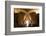 Interior of Wine Cellar (Caveau) of Chateau de Ventenac-En-Minervois, Languedoc-Roussillon, France-Nick Servian-Framed Photographic Print