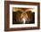 Interior of Wine Cellar (Caveau) of Chateau de Ventenac-En-Minervois, Languedoc-Roussillon, France-Nick Servian-Framed Photographic Print