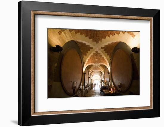 Interior of Wine Cellar (Caveau) of Chateau de Ventenac-En-Minervois, Languedoc-Roussillon, France-Nick Servian-Framed Photographic Print