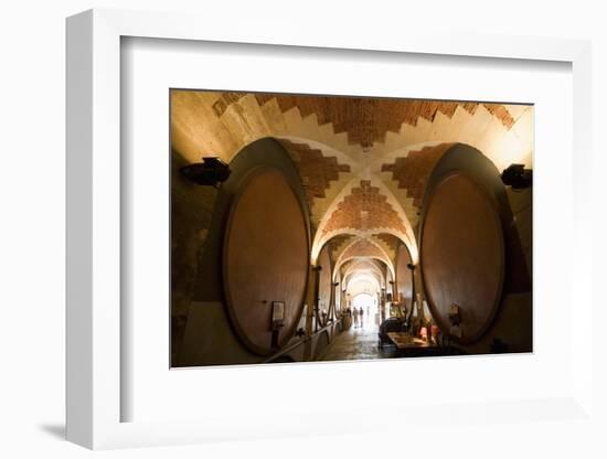 Interior of Wine Cellar (Caveau) of Chateau de Ventenac-En-Minervois, Languedoc-Roussillon, France-Nick Servian-Framed Photographic Print