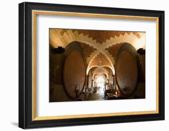 Interior of Wine Cellar (Caveau) of Chateau de Ventenac-En-Minervois, Languedoc-Roussillon, France-Nick Servian-Framed Photographic Print