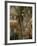 Interior Showing Apse, Basilica San Vitale, 6th century AD, Ravenna-null-Framed Photographic Print