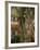 Interior Showing Apse, Basilica San Vitale, 6th century AD, Ravenna-null-Framed Photographic Print