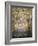 Interior, Sistine Chapel, the Vatican, Rome, Lazio, Italy-Roy Rainford-Framed Photographic Print