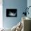 Interior Sweetness-Philippe Sainte-Laudy-Photographic Print displayed on a wall