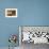 Interior View of Casa Comalat Modernist Building, Barcelona, Catalonia, Spain-Stefano Politi Markovina-Framed Photographic Print displayed on a wall