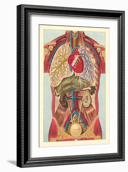 Interior View of Human Abdomen-null-Framed Art Print