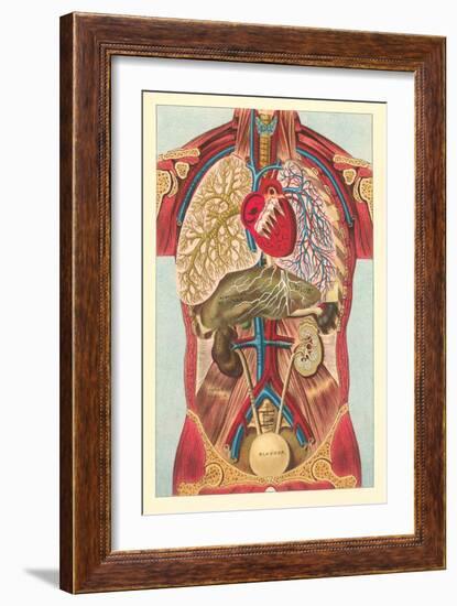 Interior View of Human Abdomen-null-Framed Premium Giclee Print