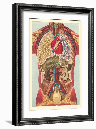 Interior View of Human Abdomen-null-Framed Premium Giclee Print