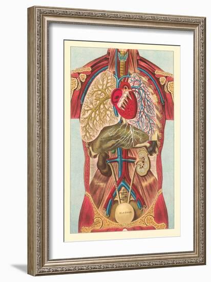 Interior View of Human Abdomen-null-Framed Art Print