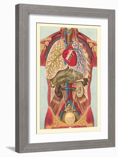 Interior View of Human Abdomen-null-Framed Art Print