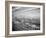 Interior View of Supermarket, 1955-Philip Gendreau-Framed Photographic Print