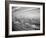 Interior View of Supermarket, 1955-Philip Gendreau-Framed Photographic Print