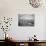 Interior View of Supermarket, 1955-Philip Gendreau-Photographic Print displayed on a wall