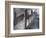 Interior View of the Grand Staircase in Charterhouse, London, 1880-Henry Dixon-Framed Photographic Print