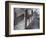 Interior View of the Grand Staircase in Charterhouse, London, 1880-Henry Dixon-Framed Photographic Print