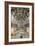 Interior View of the Sistine Chapel-Italian School-Framed Giclee Print