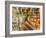 Interior view of the Theatro Municipal, Rio de Janeiro, Brazil, South America-Karol Kozlowski-Framed Photographic Print